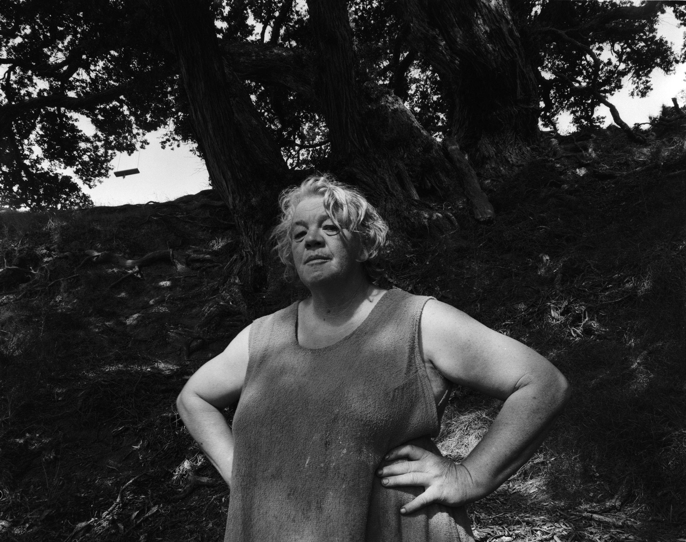 Yvonne tree